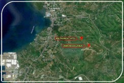 AMONSAGANA - LOT ONLY INVESTMETN IN BALAMBAN CEBU